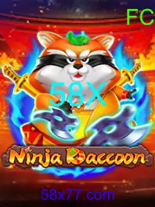 NinjaRaccoon